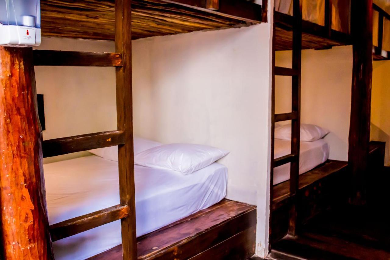 Bunk Bed Mixed Dormitory Room